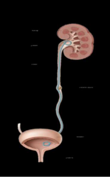 b829eebf-a963-4db7-a7d5-4f9293815c66.png