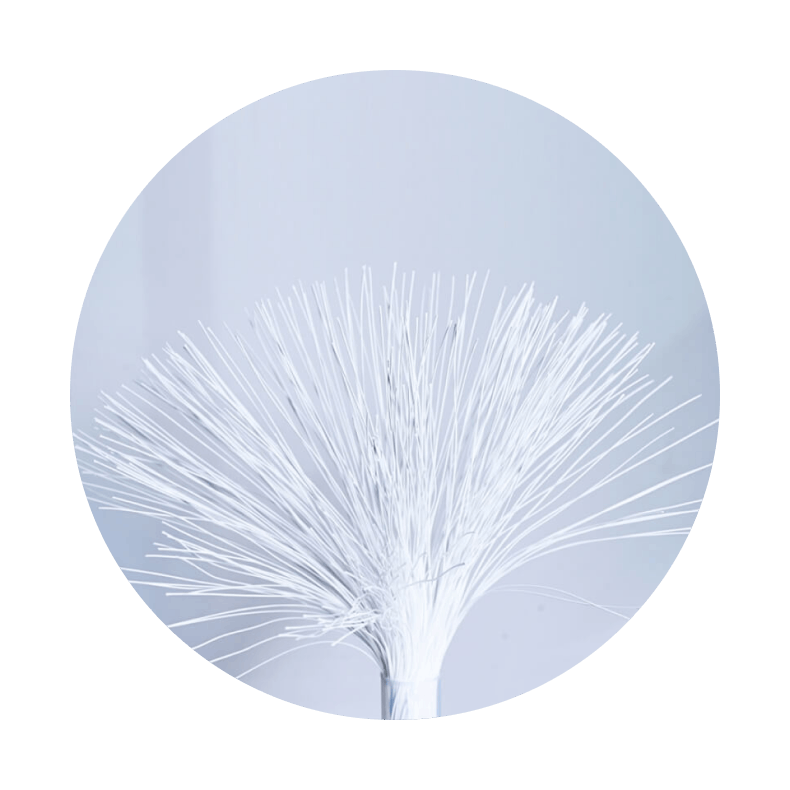 a_img15.png
